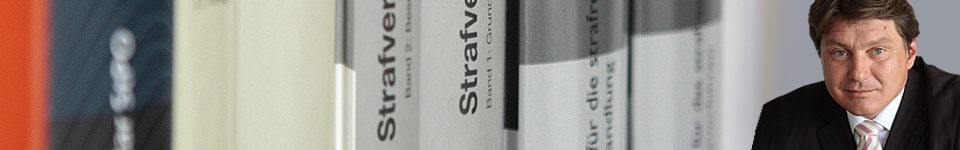 Bücher Strafverfahren